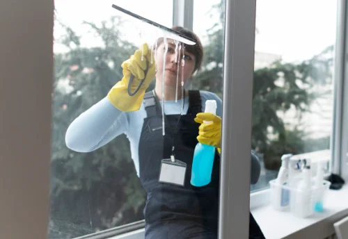 Nettoyage de vitres intérieures et extérieures à Lansac